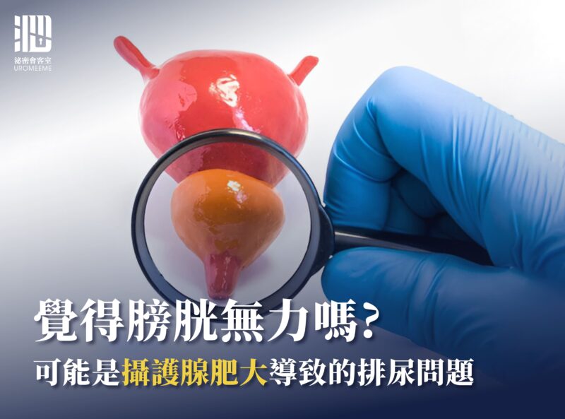 什麼是攝護腺肥大？