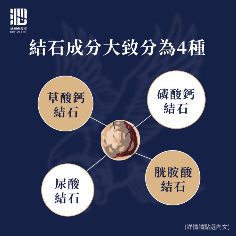 腎結石|包皮槍,台北泌尿科推薦,割包皮健保,恢復,包皮槍保險,費用